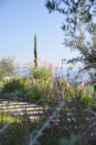 Giardino in stile mediterraneo di 500 di Gaia Granelli Giardino in stile mediterraneo di 500 di Gaia Granelli