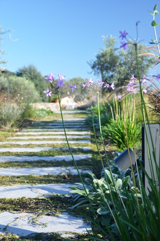 Giardino in stile mediterraneo di 500 di Gaia Granelli Giardino in stile mediterraneo di 500 di Gaia Granelli