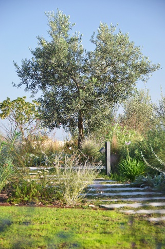 Giardino in stile mediterraneo di 500 di Gaia Granelli Giardino in stile mediterraneo di 500 di Gaia Granelli