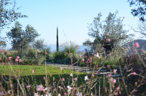 Giardino in stile mediterraneo di 500 di Gaia Granelli Giardino in stile mediterraneo di 500 di Gaia Granelli