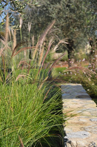 Giardino in stile mediterraneo di 500 di Gaia Granelli Giardino in stile mediterraneo di 500 di Gaia Granelli