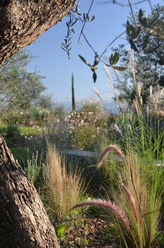 Giardino in stile mediterraneo di 500 di Gaia Granelli Giardino in stile mediterraneo di 500 di Gaia Granelli