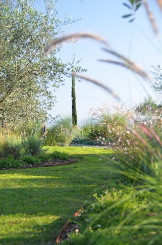 Giardino in stile mediterraneo di 500 di Gaia Granelli Giardino in stile mediterraneo di 500 di Gaia Granelli