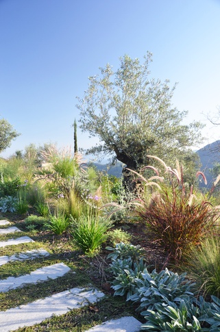Giardino in stile mediterraneo di 500 di Gaia Granelli Giardino in stile mediterraneo di 500 di Gaia Granelli